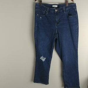 Lane Bryant Blue Jeans